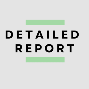 Professional Report